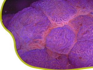 What you need to know (Basic)